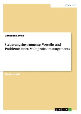 Steuerungsinstrumente, Vorteile und Probleme eines Multiprojektmanagements