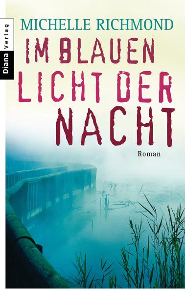 Im blauen Licht der Nacht