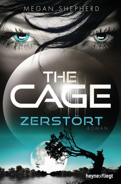 The Cage - Zerstört