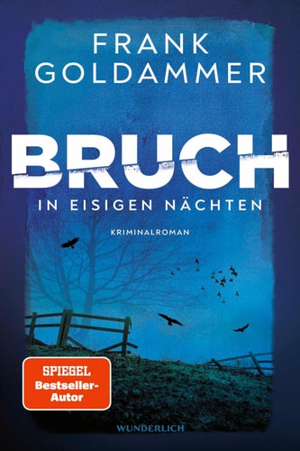 Bruch: In eisigen Nächten Der neue Krimi von Bestsellerautor Frank Goldammer
