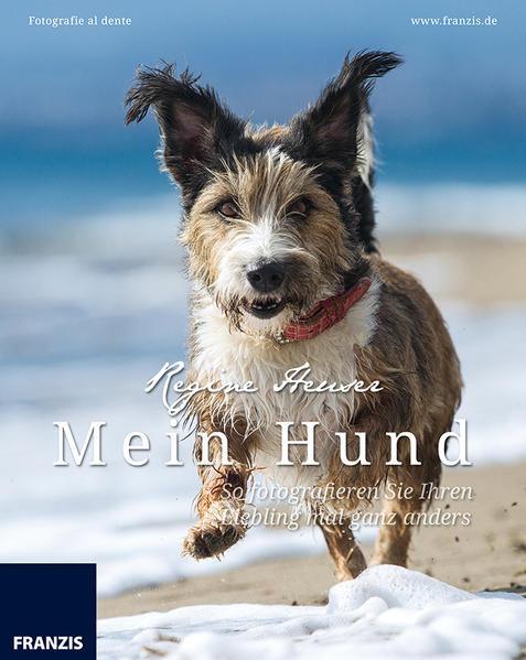 Mein Hund - So fotografieren Sie Ihren Liebling mal ganz anders