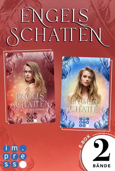 Engelsschatten: Alle Bände der magisch-romantischen "Engelsschatten"-Dilogie in einer E-Box!
