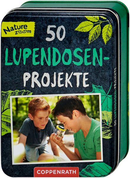 50 Lupendosen-Projekte