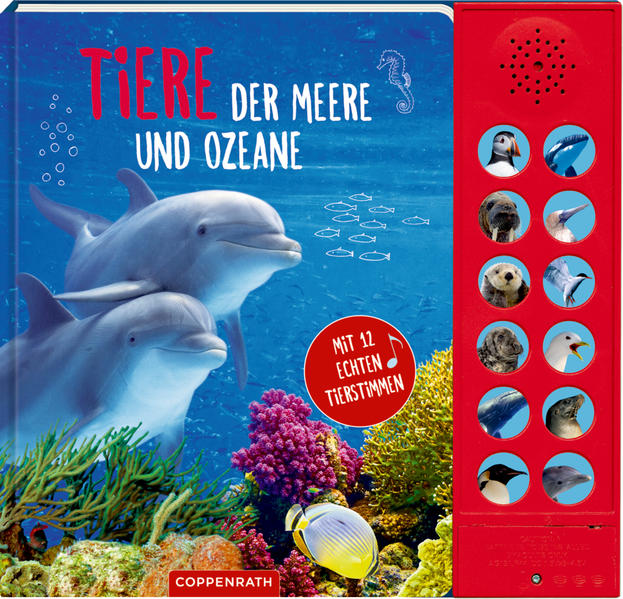 Tiere der Meere und Ozeane