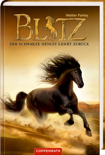 Blitz (Bd. 2)
