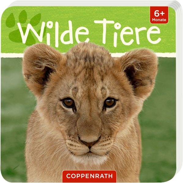 Mein erstes Tierbuch: Wilde Tiere