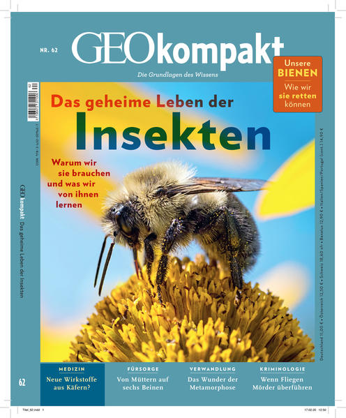 GEOkompakt / GEOkompakt mit DVD 62/2020 - Das geheime Leben der Insekten