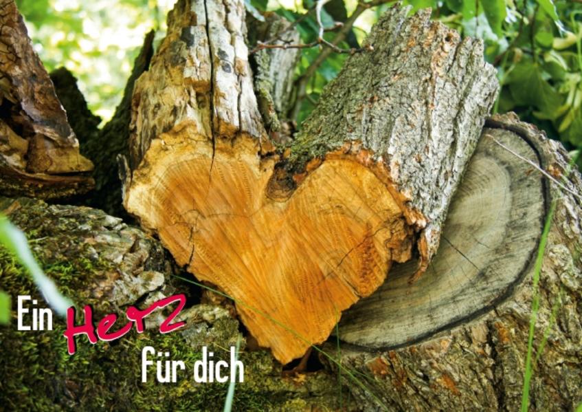 Ein Herz für dich (Posterbuch DIN A4 quer)