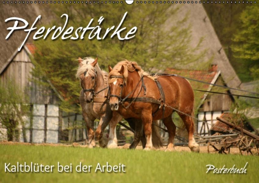 Pferdestärke (PosterbuchDIN A2 quer)