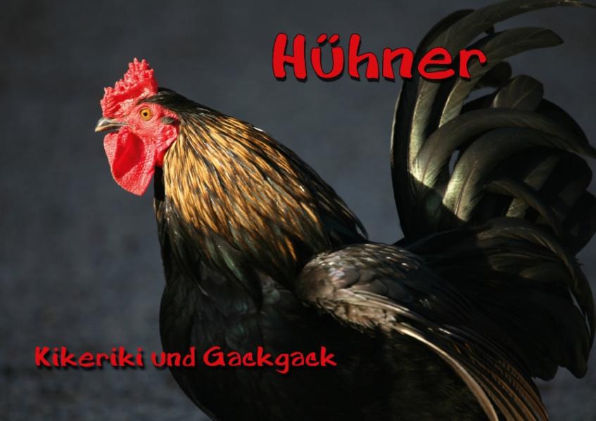 Hühner (Posterbuch DIN A2 quer)