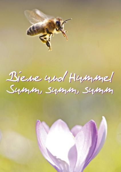 Biene und Hummel (Posterbuch DIN A4 hoch)