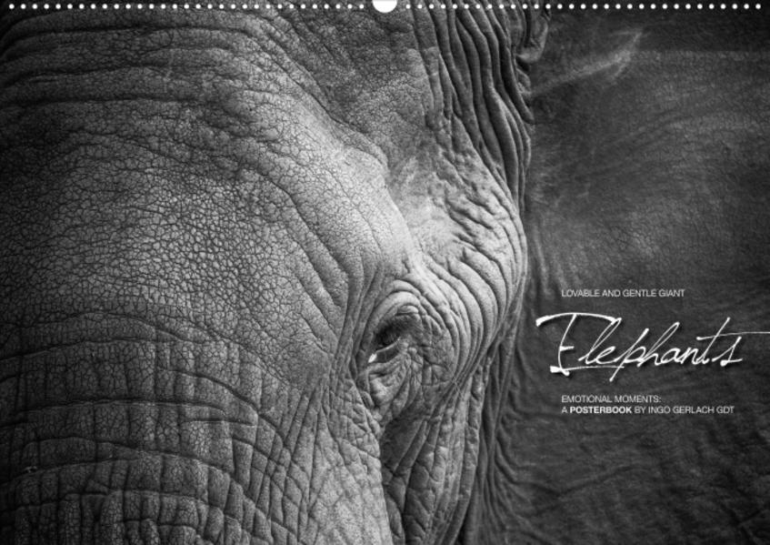 Emotional Moments: Elephants UK Version (Poster Book DIN A4 Landscape)