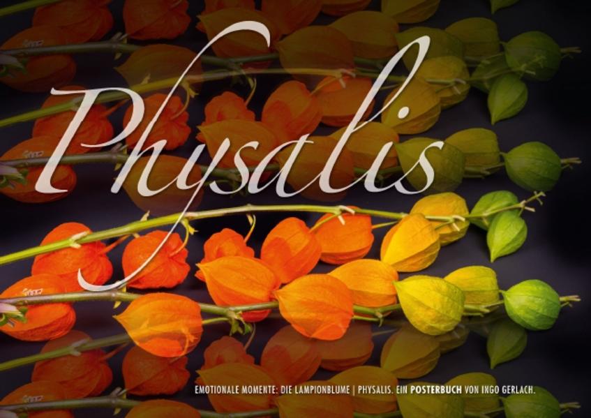 Emotionale Momente: Physalis. (Posterbuch DIN A2 quer)