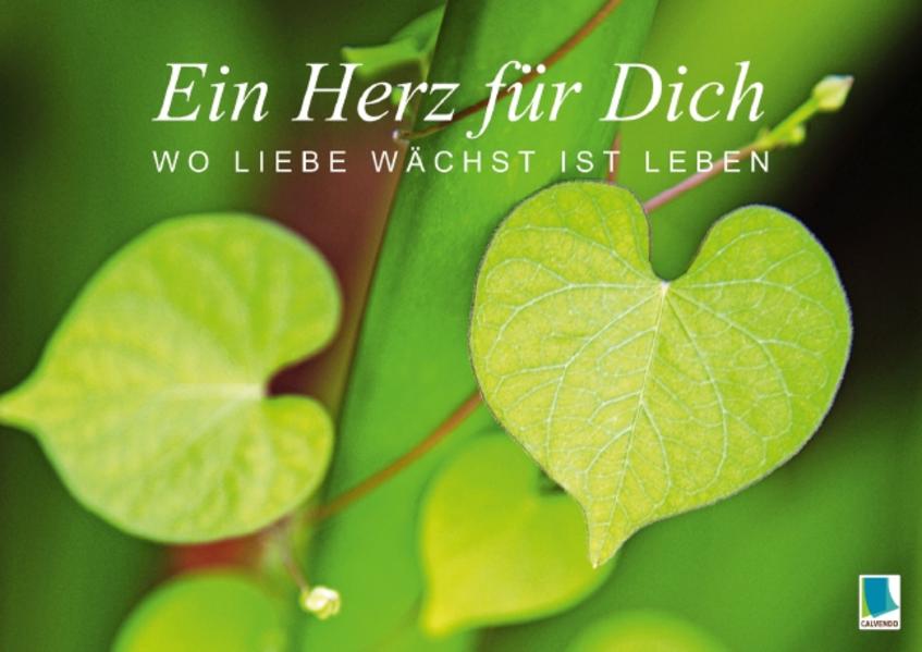 Ein Herz für Dich: Wo Liebe wächst ist Leben (Posterbuch DIN A2 quer)