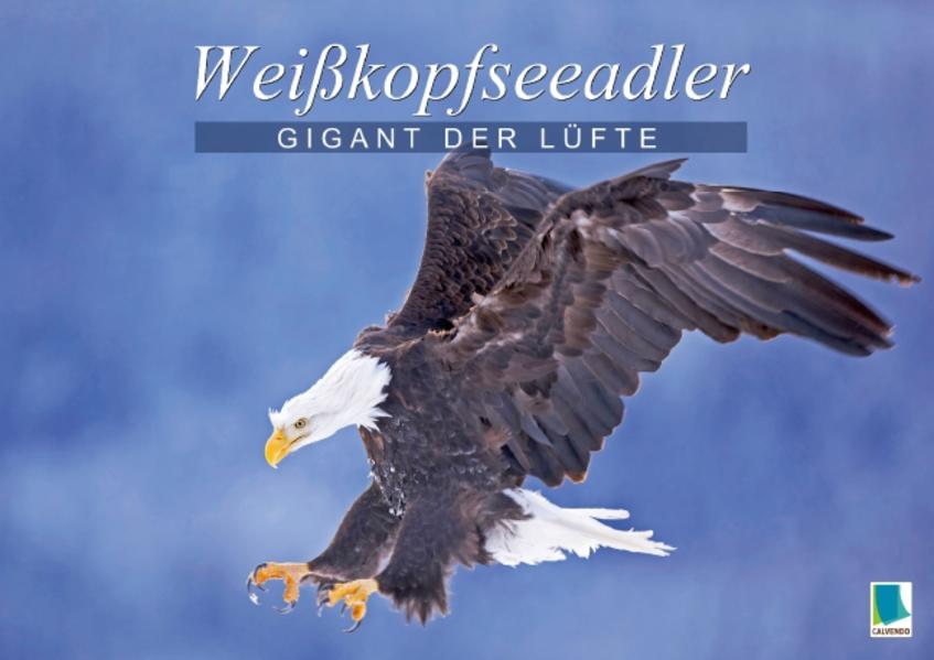 Gigant der Lüfte: Weißkopfseeadler (Posterbuch DIN A2 quer)