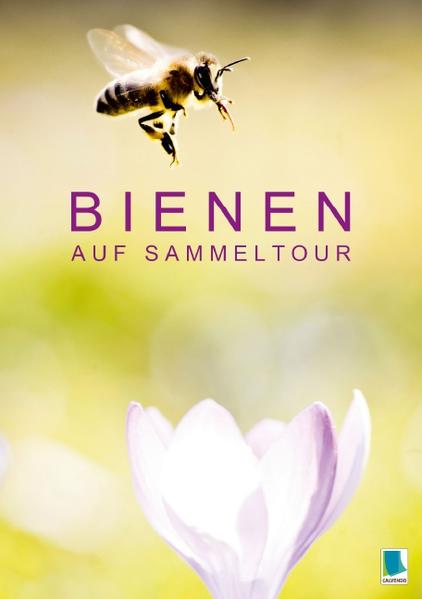 Bienen auf Sammeltour (Tischaufsteller DIN A5 hoch)