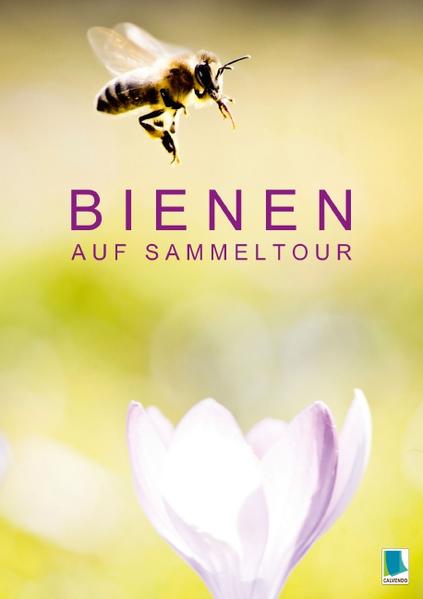 Bienen auf Sammeltour (Posterbuch DIN A4 hoch)