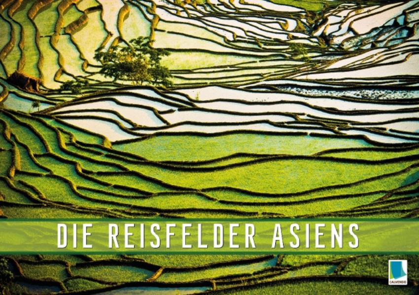 Die Reisfelder Asiens (Tischaufsteller DIN A5 quer)