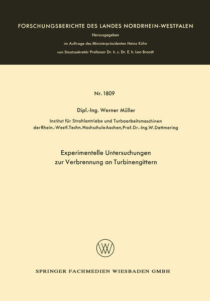 Experimentelle Untersuchungen zur Verbrennung an Turbinengittern