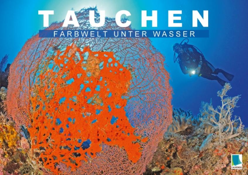 Tauchen: Farbwelt unter Wasser (Posterbuch DIN A3 quer)