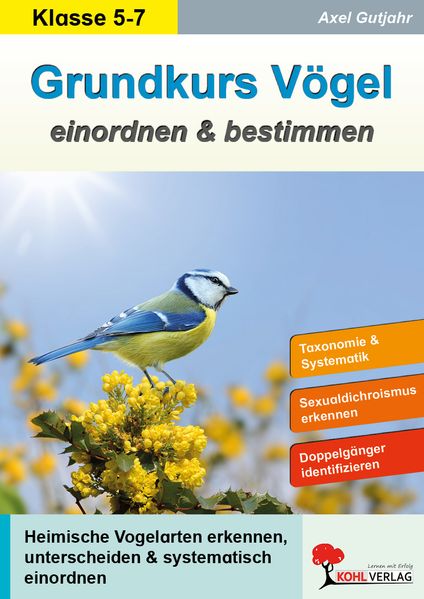Grundkurs Vögel einordnen und bestimmen
