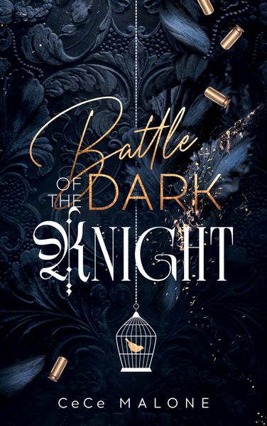 Battle of the dark Knight
