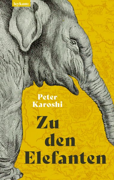 Zu den Elefanten