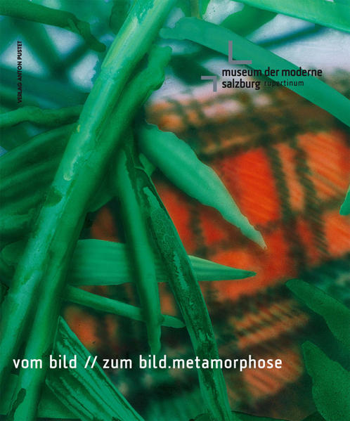 vom bild - zum bild. metamorphose