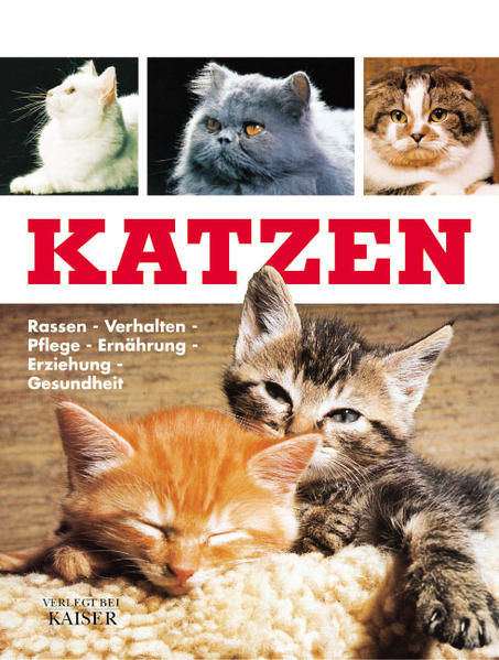 Katzen