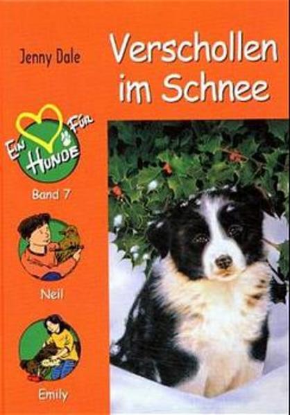 Verschollen im Schnee