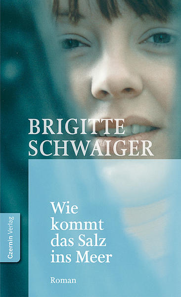 Wie kommt das Salz ins Meer