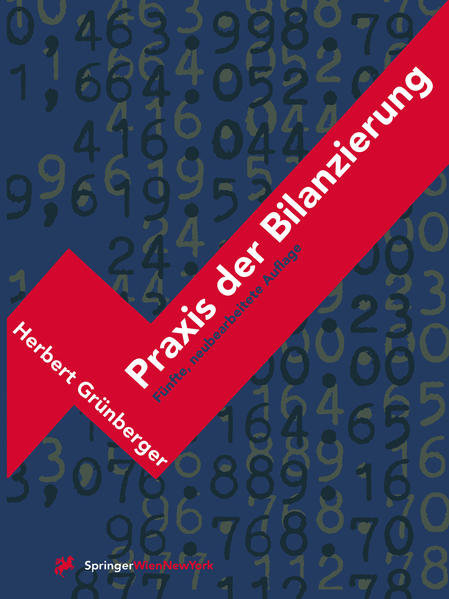 Praxis der Bilanzierung