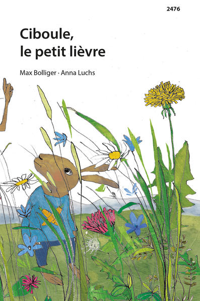 Ciboule, le petit lièvre