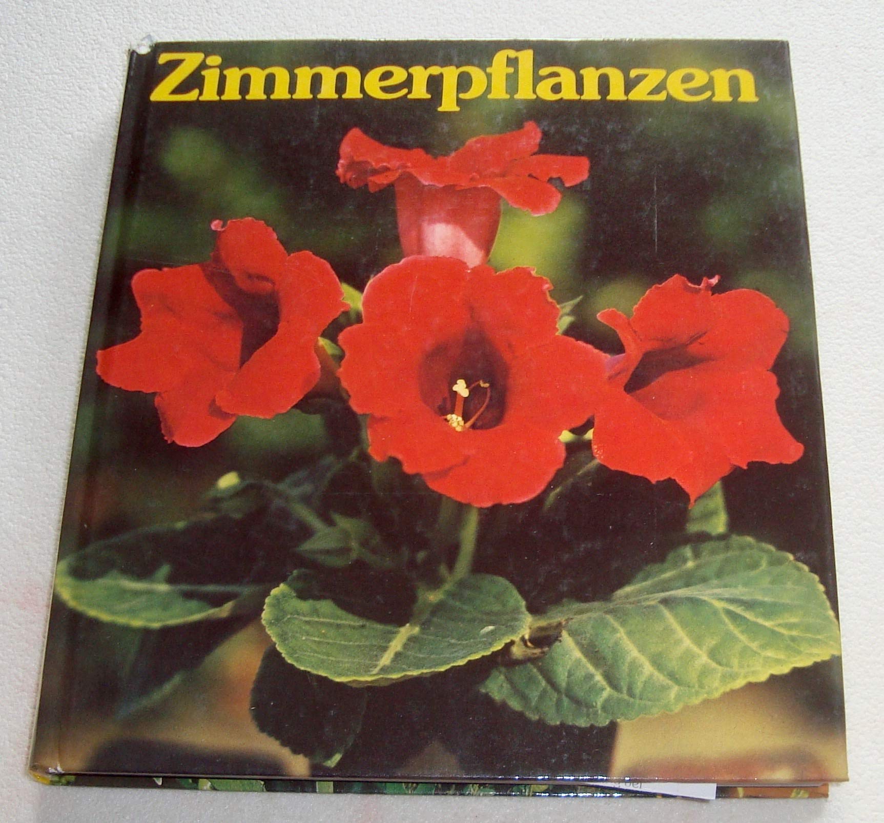 Zimmerpflanzen
