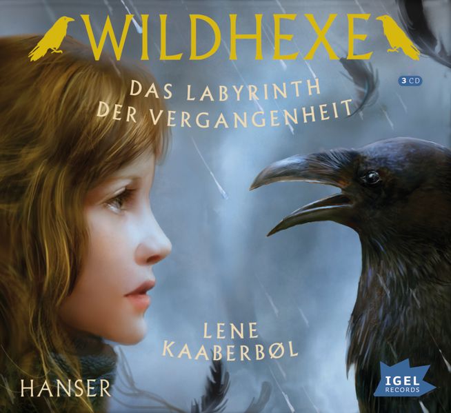Wildhexe 5. Das Labyrinth der Vergangenheit