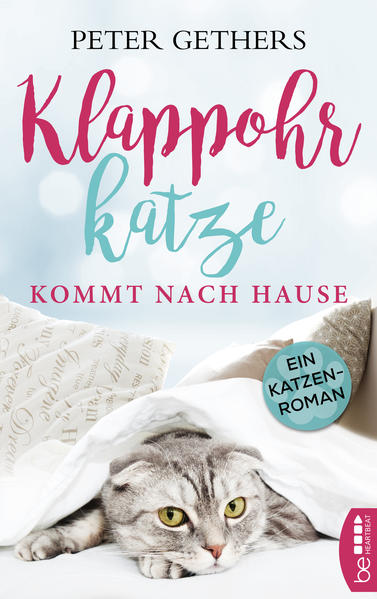 Klappohrkatze kommt nach Hause