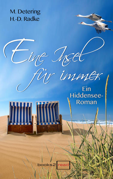 Eine Insel für immer - Ein Hiddensee-Roman