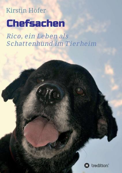 Chefsachen