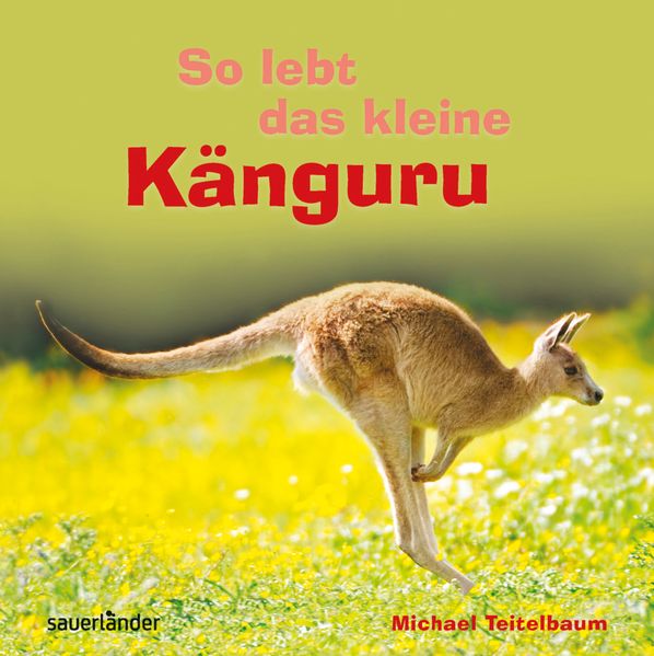 So lebt das kleine Känguru