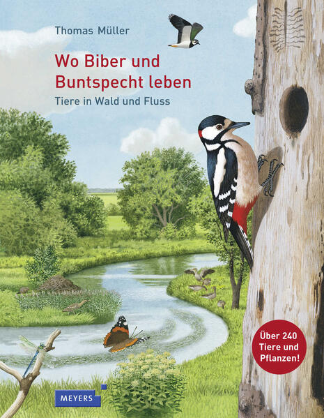 Wo Biber und Buntspecht leben