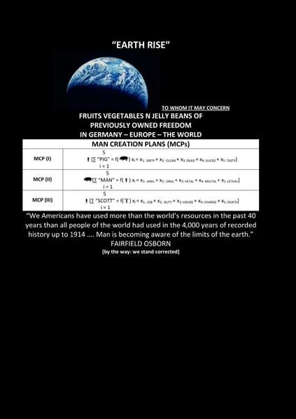“EARTH RISE”