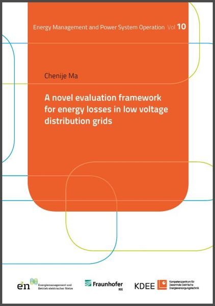 A novel evaluation framework for energy losses in low voltage distribution grids