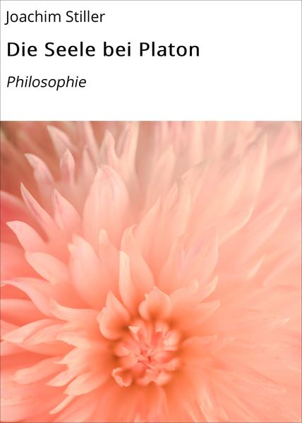 Die Seele bei Platon