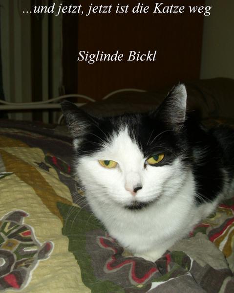Und jetzt,...jetzt ist die Katze weg