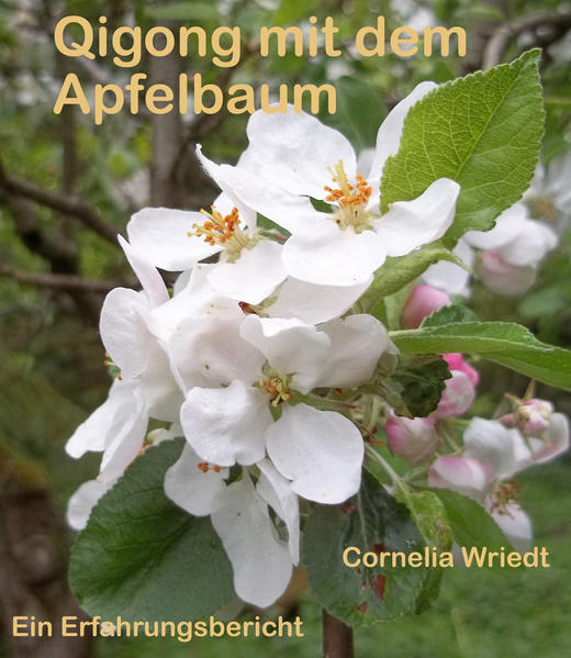 Qigong mit dem Apfelbaum