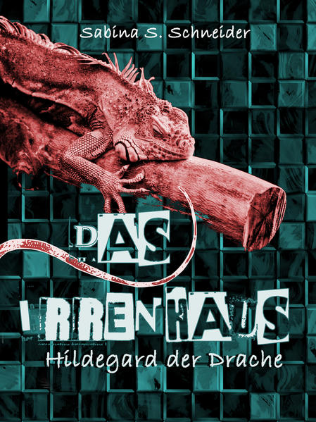 Das Irrenhaus 01 - Hildegard der Drache