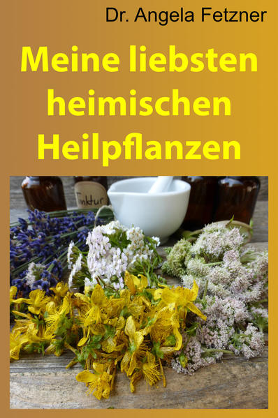 Meine liebsten heimischen Heilpflanzen