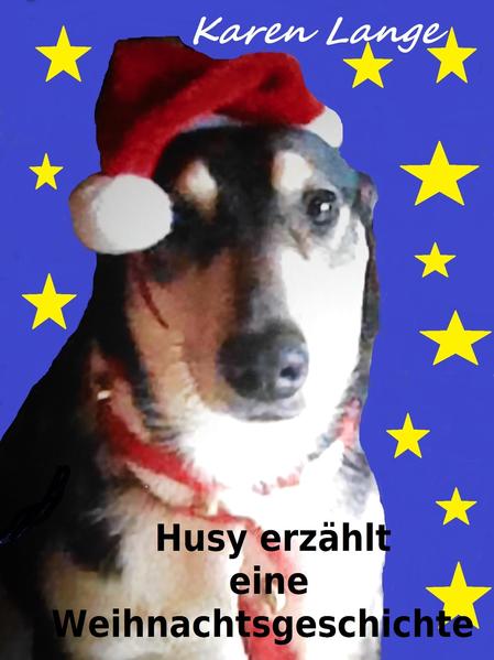 Husy erzählt eine Weihnachtsgeschichte
