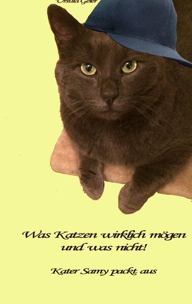 Was Katzen wirklich mögen und was nicht