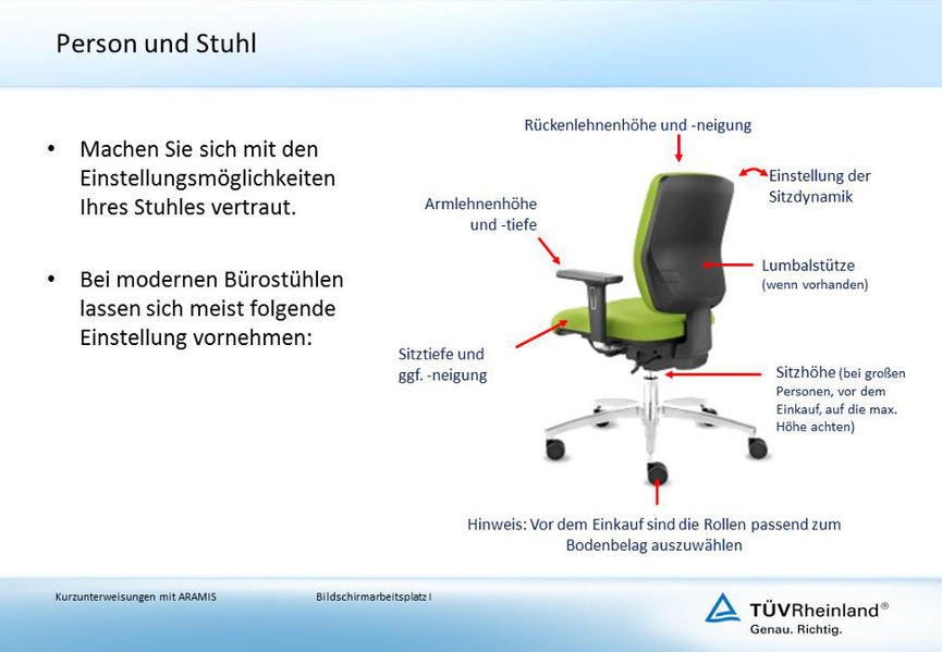 Bildschirmarbeitsplatz I (E-Book, PDF)